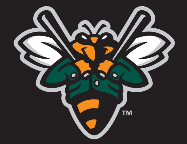 Augusta Greenjackets 2006-2017 Cap Logo 2 decal supplier